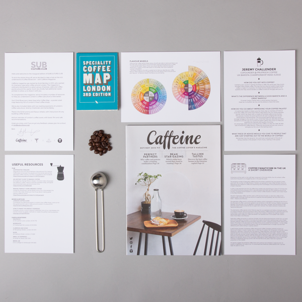 Subculture Club: Annual magazine subscription